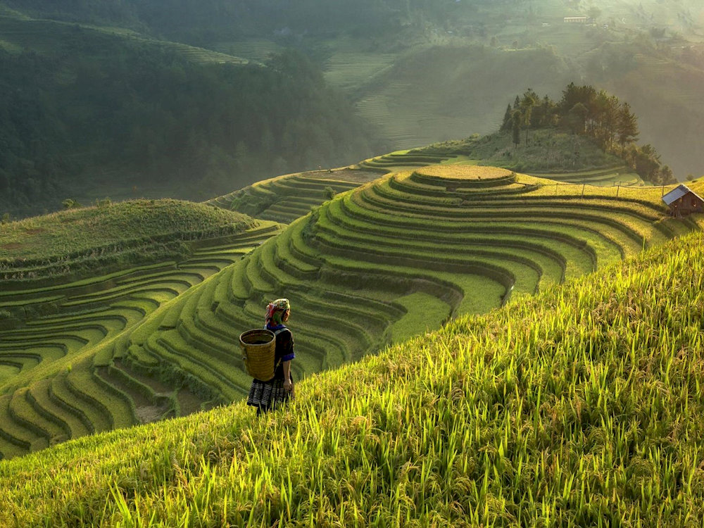 Walking across Muong Hoa Valley lets you soak in the breathtaking scenery
